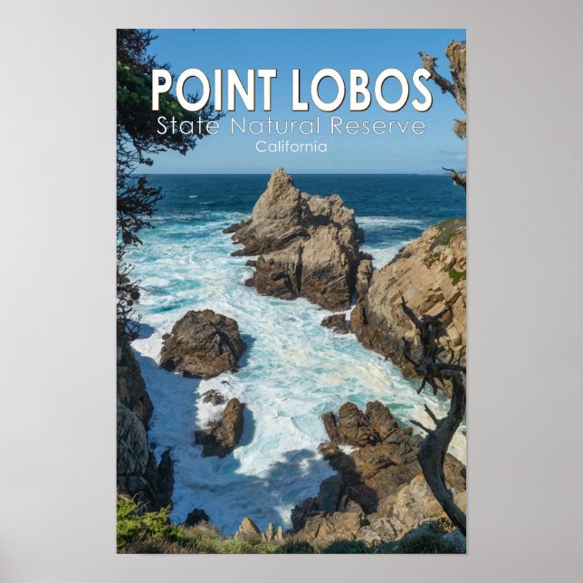 Póster Reserva Natural Estatal Point Lobos California (Frente)