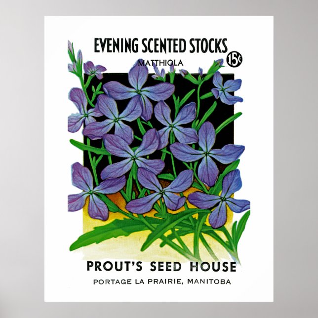 Póster Reservas perfumadas nocturnas (Frente)