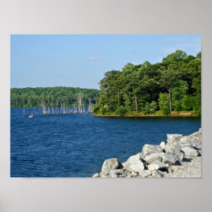 Póster Resevoir de la relajación