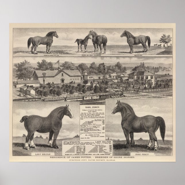 Póster Residencia de James Potter, Junction City, Kansas (Frente)