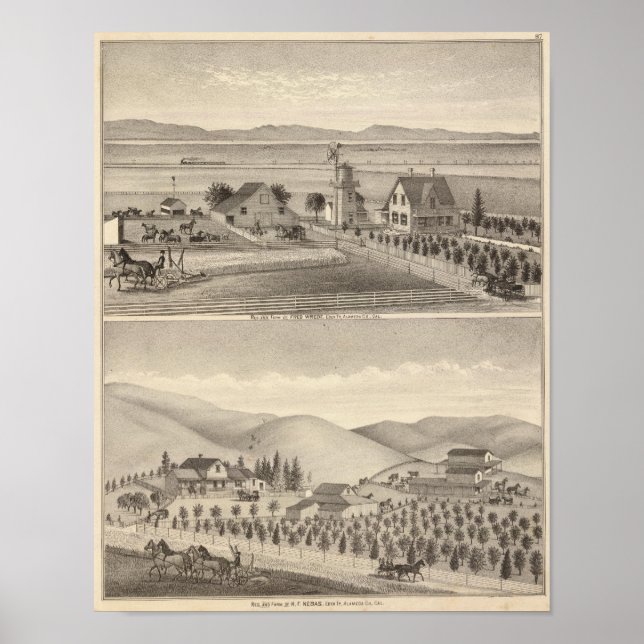 Póster Residencias de Wrede, Nebas (Frente)