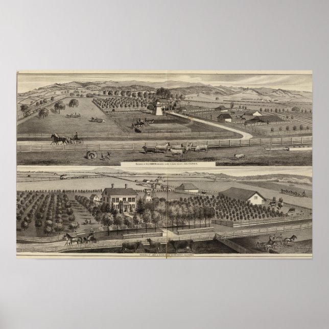 Póster Residencias Hawkins, Mayes (Frente)