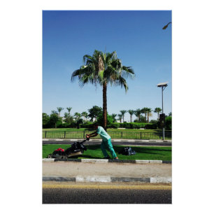 Póster Residente local se dedica al paisajismo en Egipto