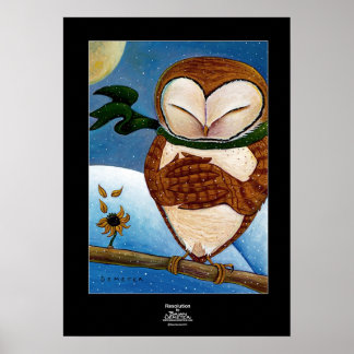 Póster Resolución
