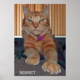 Póster Respeto al Poster Gato Baz