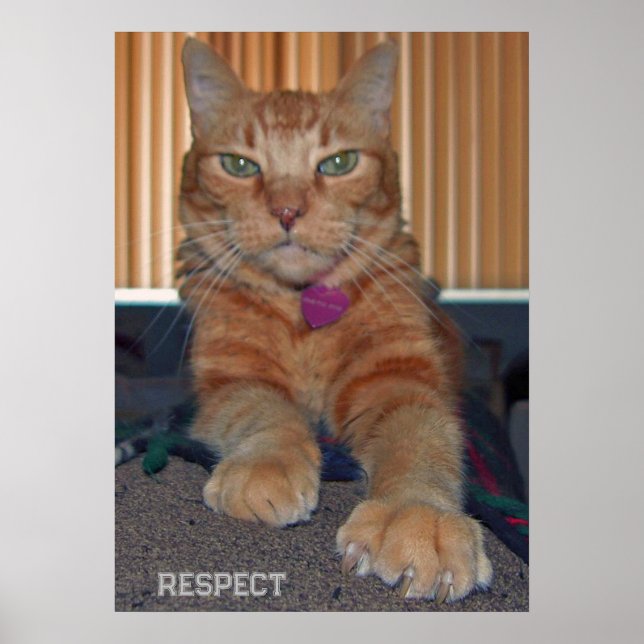 Póster Respeto al Poster Gato Baz (Frente)