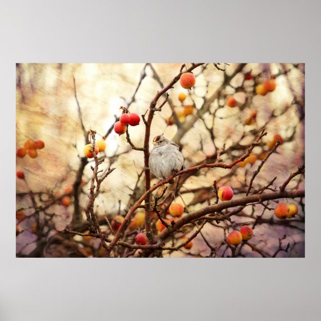 Póster Resplandeciente en un árbol de manzana cangrejo (Frente)