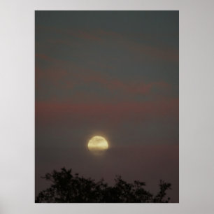 Póster Resplandor de la Luna Llena