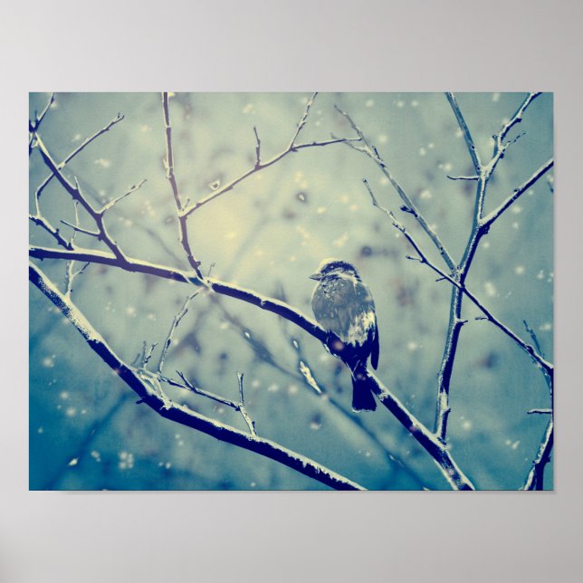 Póster Resplandor en la rama nevada (Frente)