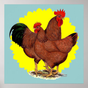 Póster Resplandor solar del rojo de la producción