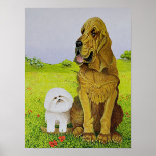 Póster Responsable