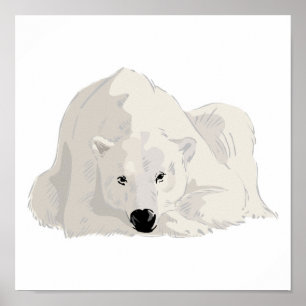Póster resting polar bear