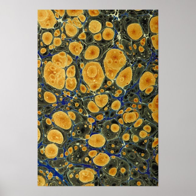 Póster Resumen (Frente)