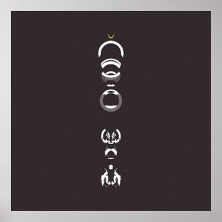 Póster Resumen #294