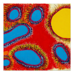 Póster Resumen aborigen Art Vol. 12