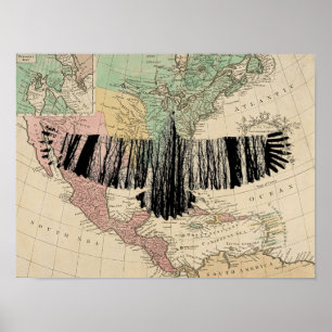 Póster Resumen Árbol de águila Silhouettes Naturaleza Art