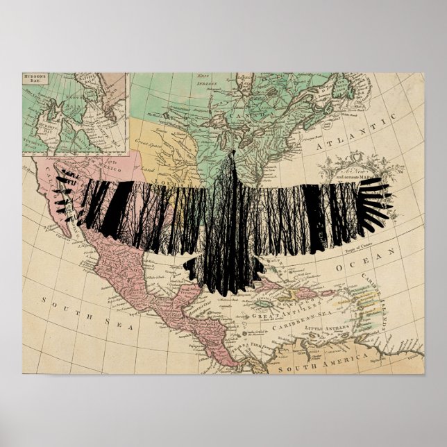 Póster Resumen Árbol de águila Silhouettes Naturaleza Art (Frente)