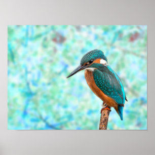 Póster Resumen azul de pájaro de Kingfisher