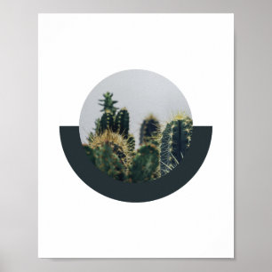 Póster Resumen Cactus Poster 2   8x10