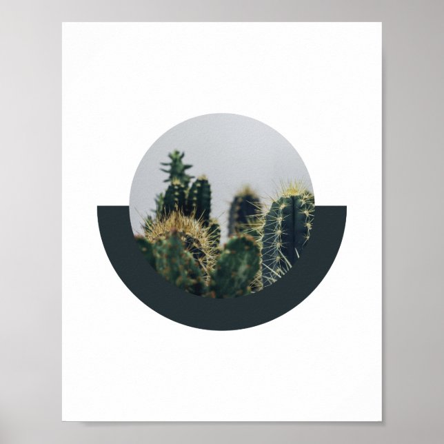 Póster Resumen Cactus Poster 2 | 8x10 (Frente)