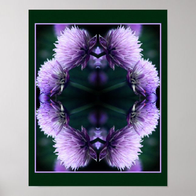 Póster Resumen de Allium de Flores Púrpura Scallion (Frente)