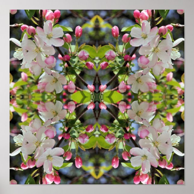 Póster Resumen de brotes de Apple de Primavera Temprana (Frente)