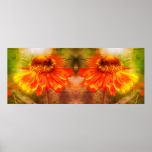 Póster Resumen de Espejo Doloroso de Flor de Zinnia