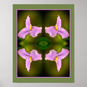 Póster Resumen de Flor Orquídea Silvestre