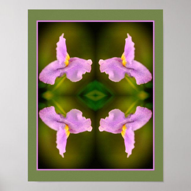 Póster Resumen de Flor Orquídea Silvestre (Frente)