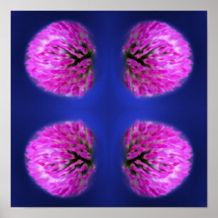 Póster Resumen de Flor Silvestre Red Clover
