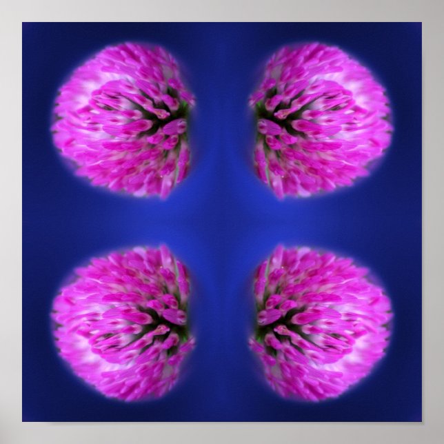 Póster Resumen de Flor Silvestre Red Clover (Frente)