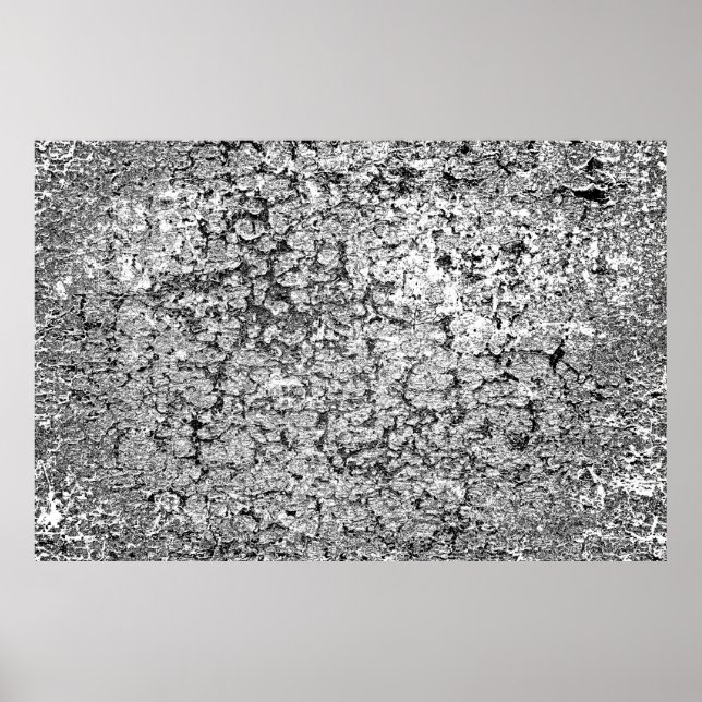 Póster Resumen de fondo. Textura monocroma. Entrada de im (Frente)