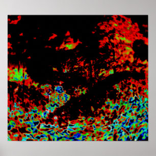 Póster Resumen de fuego en un bosque