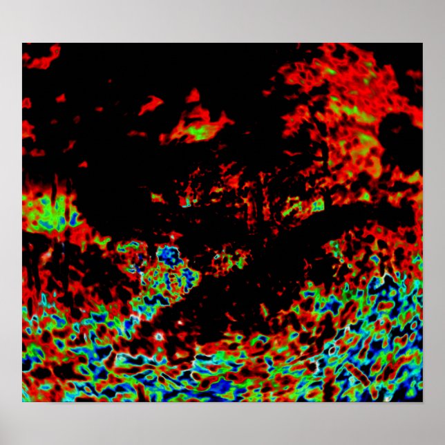 Póster Resumen de fuego en un bosque (Frente)