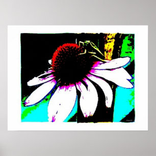 Póster Resumen de Grasshopper