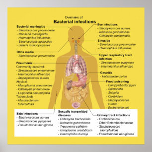 Póster Resumen de infecciones bacterianas