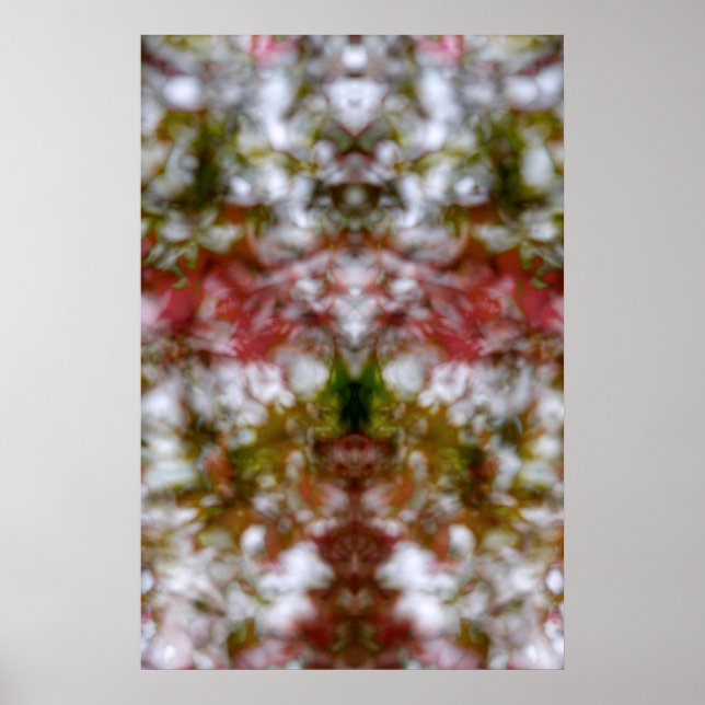 Póster Resumen de la figura del caleidoscopio (Frente)