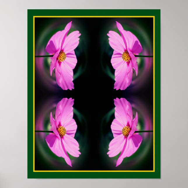 Póster Resumen de la Flor Cosmos Rosa Única (Frente)