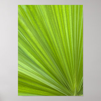 Póster Resumen de la paleta verde tropical