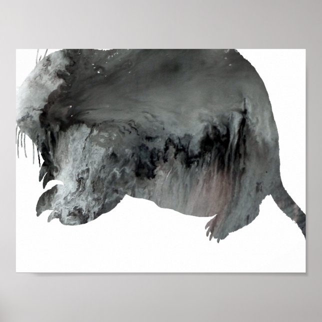 Póster Resumen de la silueta de Gopher (Frente)