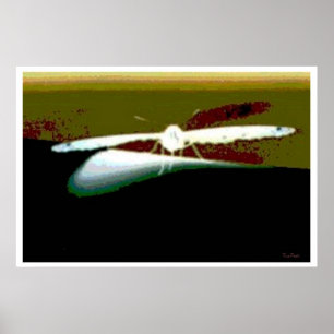 Póster Resumen de las alas de mariposa