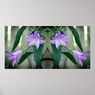Póster Resumen de las flores de lirio morado delgado