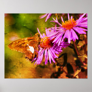 Póster Resumen de las flores silvestres de Lady Butterfly