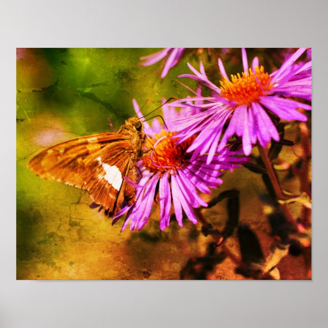 Póster Resumen de las flores silvestres de Lady Butterfly (Frente)