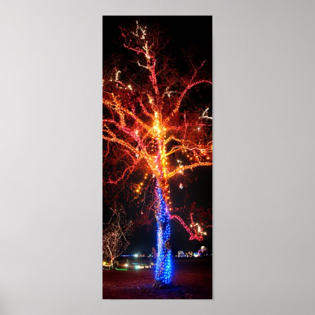 Póster Resumen de las luces del árbol de Navidad (Frente)