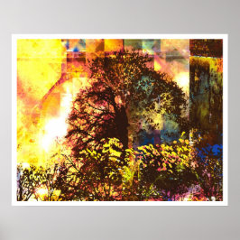 Póster Resumen de luz 7: Vida bendecida