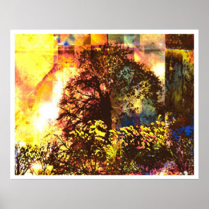 Póster Resumen de luz 7: Vida bendecida