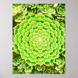 Póster Resumen de oro verde de Mandala exitosa fotografía