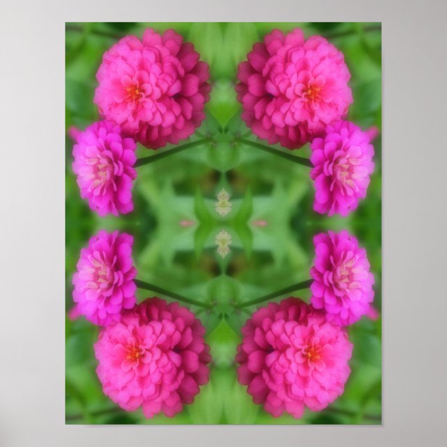 Póster Resumen de pares de flores rosadas de zinnia (Frente)