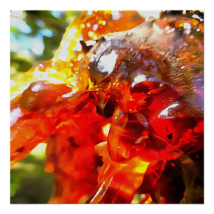 Póster Resumen de resina filtrada de árbol de albaricoque